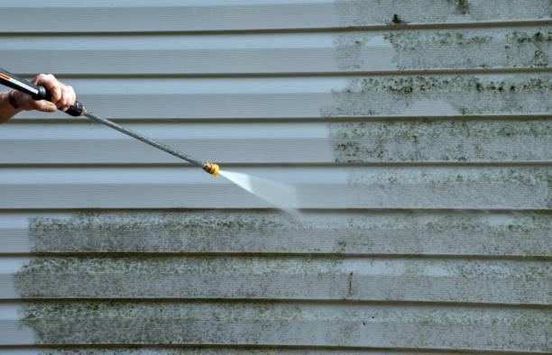 Professional Pressure Washing in Biltmore, TN